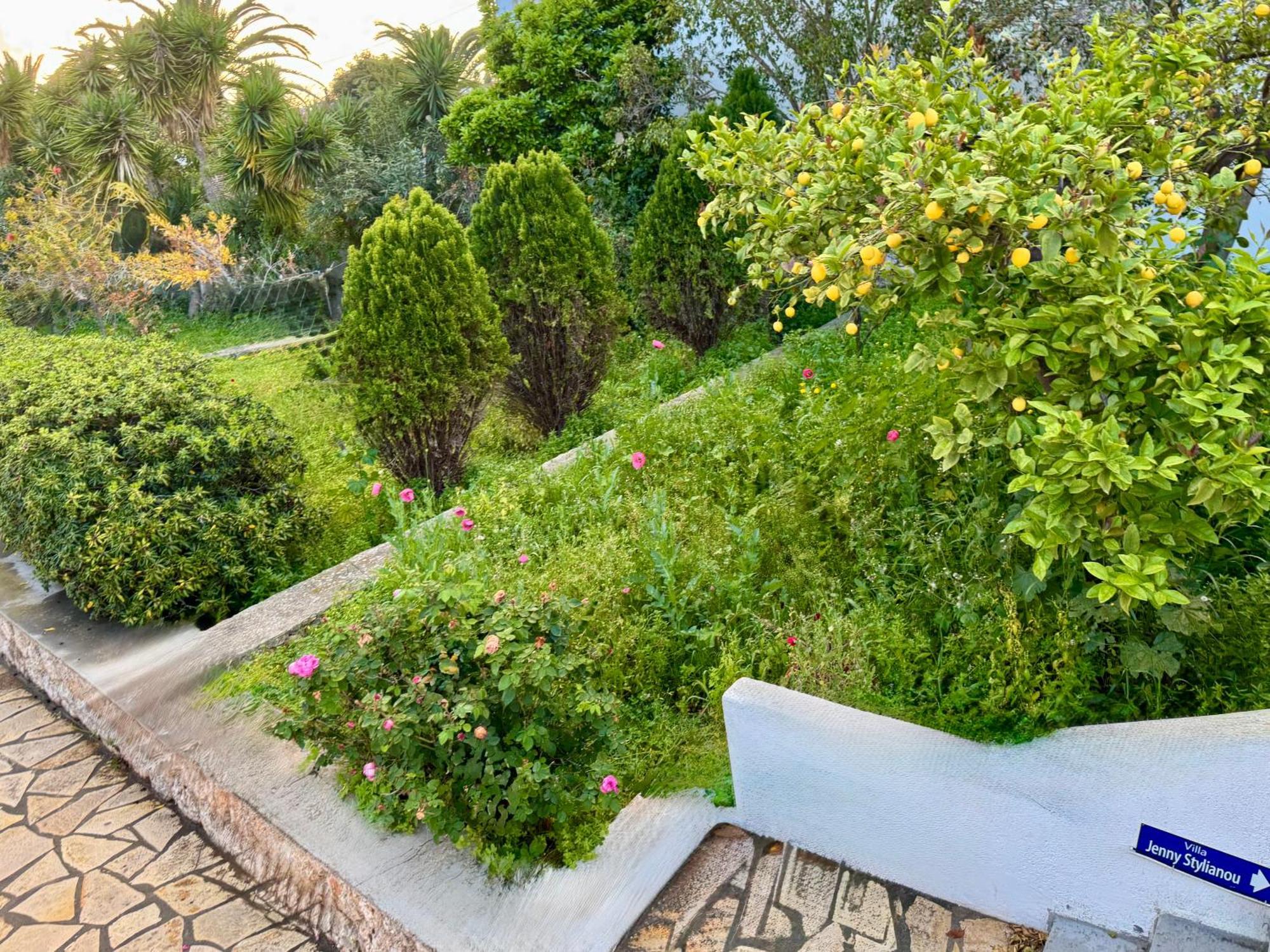 Villa Jenny Stylianou Studio Spétses Esterno foto